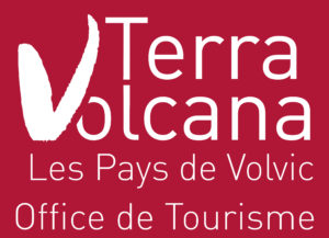 LOGO TV - BLANC - FOND COUL R1 - OT